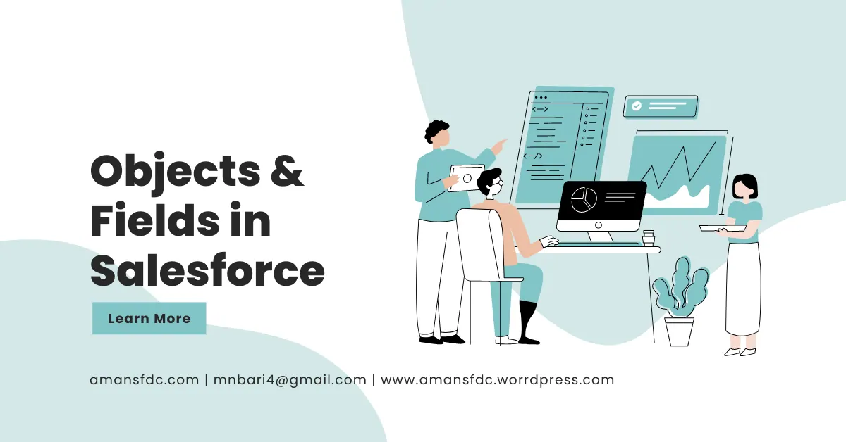 Knowledge of Objects & Fields in Salesforce